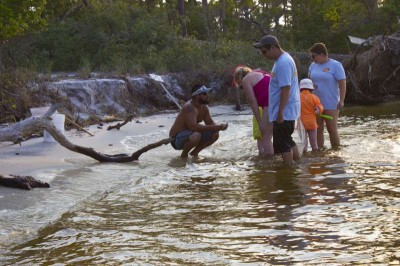 shelling education