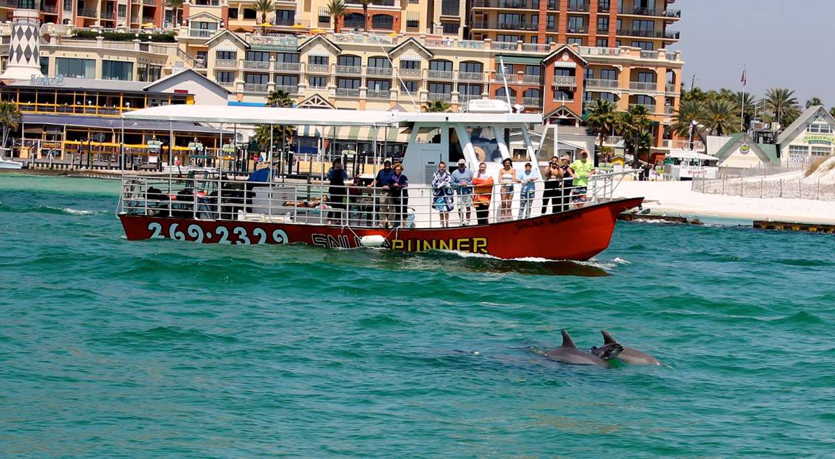 Destin Snorkel Groups