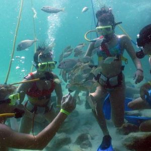 Destin Snorkel Photo Gallery