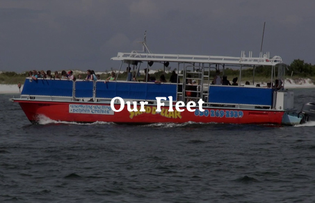 Our Snorkeling Boat Fleet