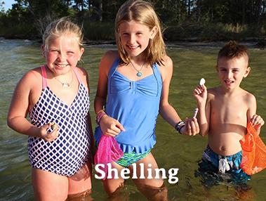 Shelling Tour
