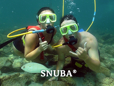 Snuba Tour