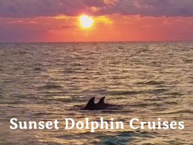 Sunset Dolphin Cruises