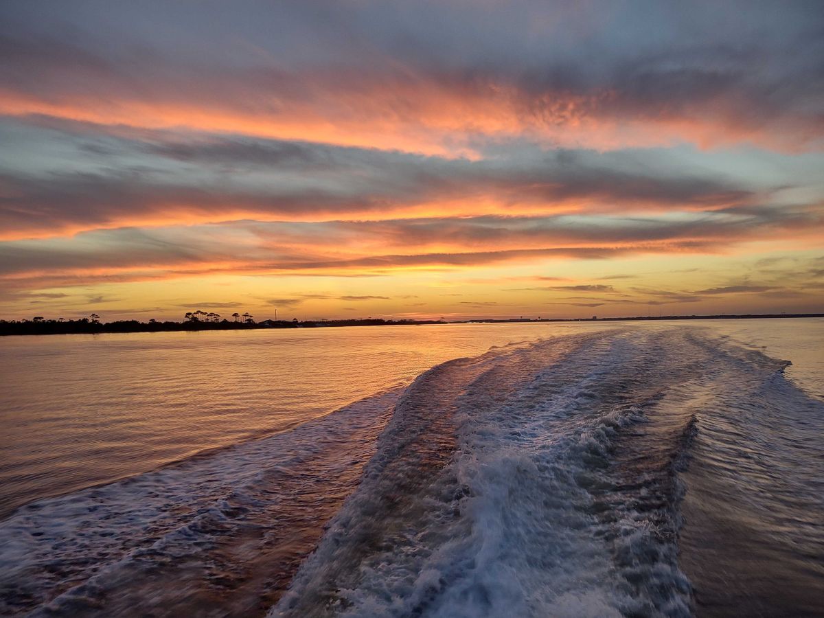 sunset dolphin cruise miami